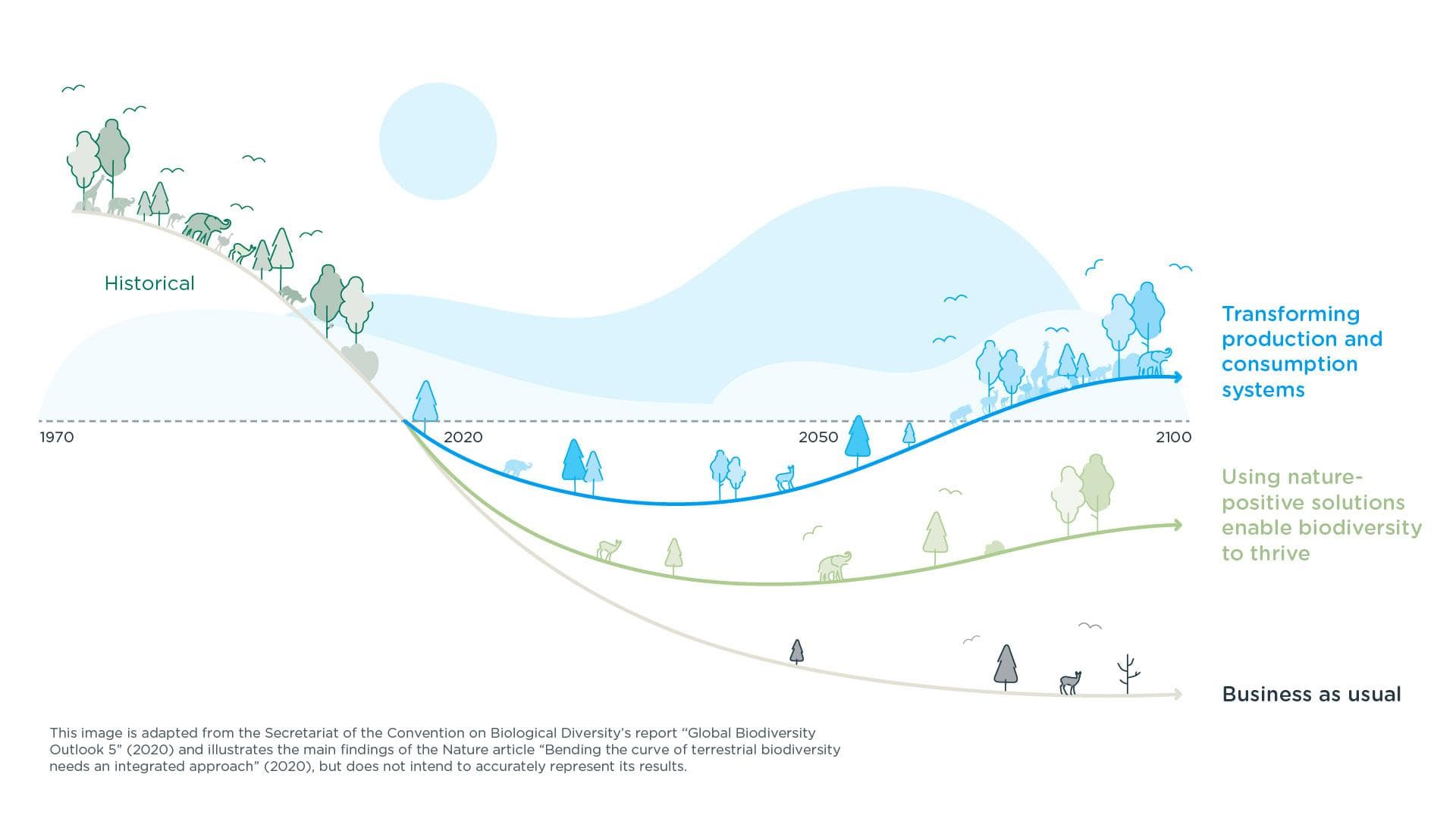 Biodiversity Bending the Curve