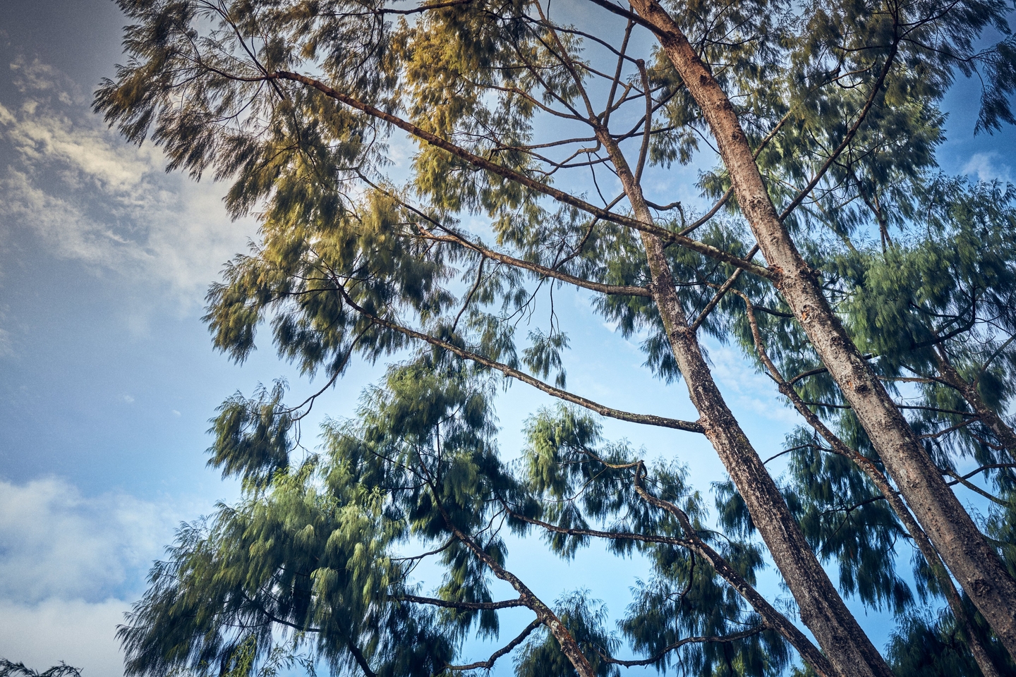 Urgent steps to meet AASB S2 reporting requirements