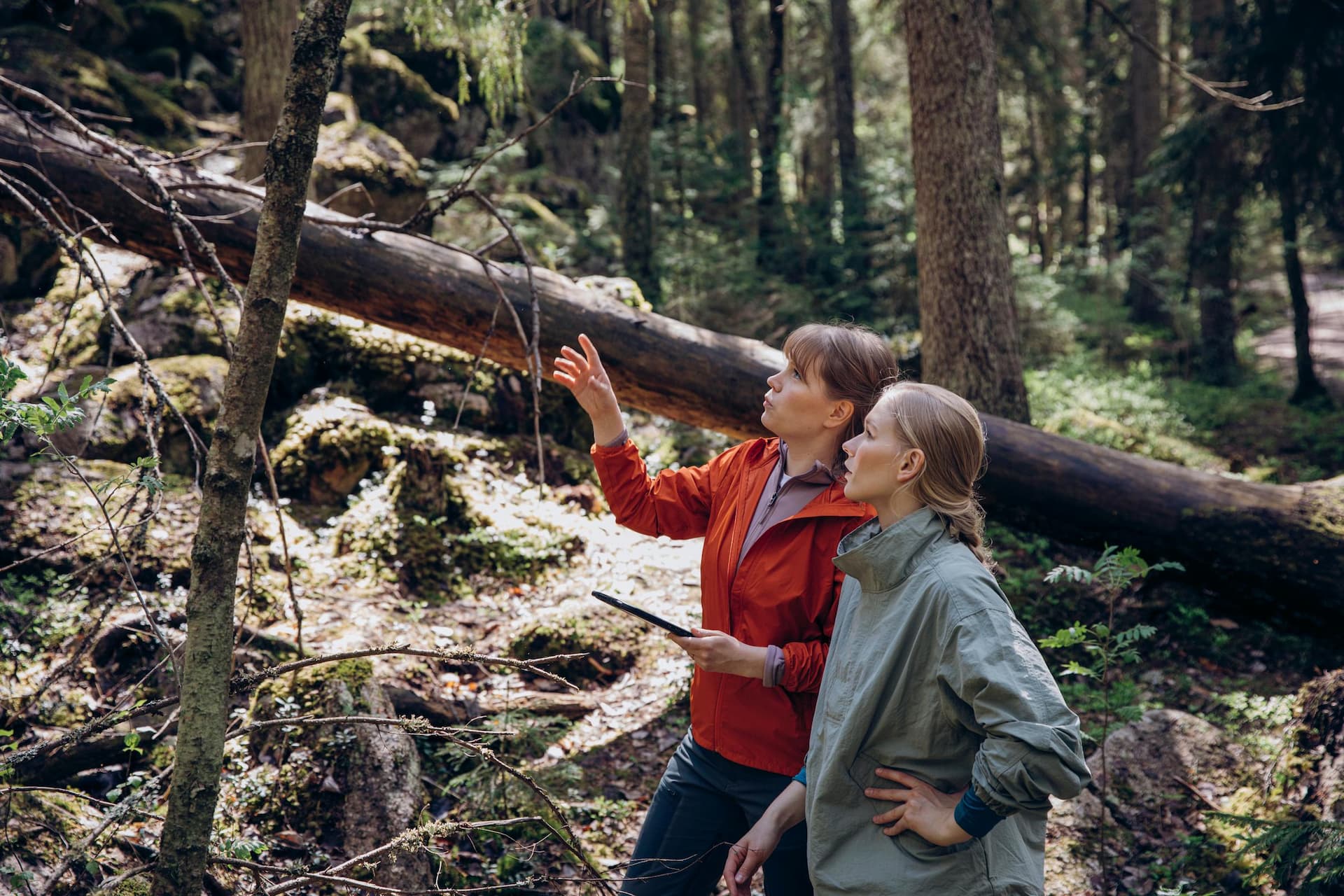 RFI brand photoshoot in Espoo, Finland. Two Environmental Specialists standing and talking with each other in Nuuksio National Park, Finland.