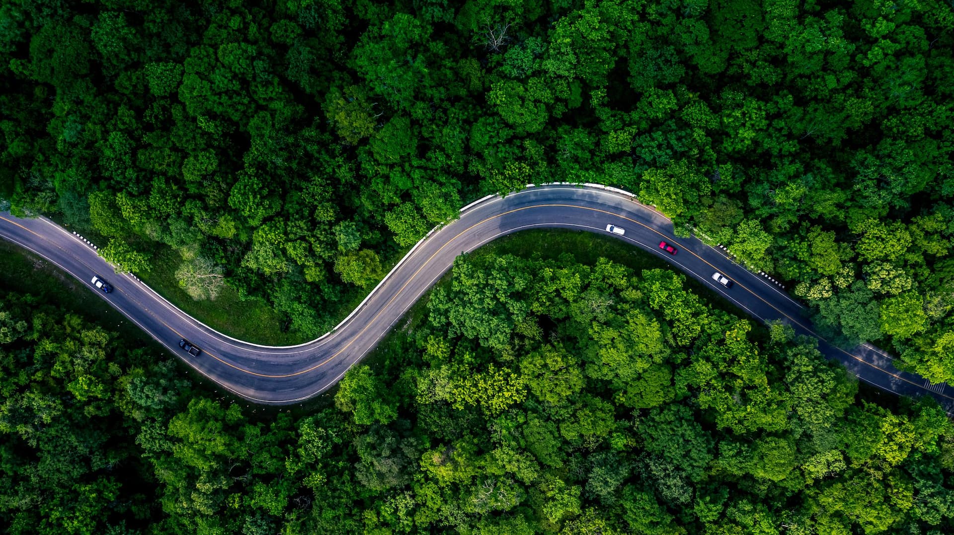 Forest Road, Aerial view over tropical tree forest with a road going through with car.