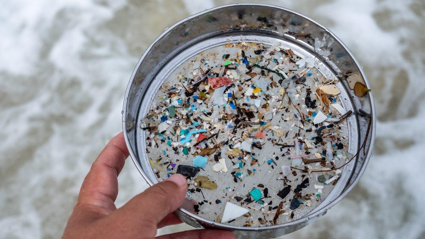 Environmentalists filter the microplastic waste contaminated with the seaside sand. 