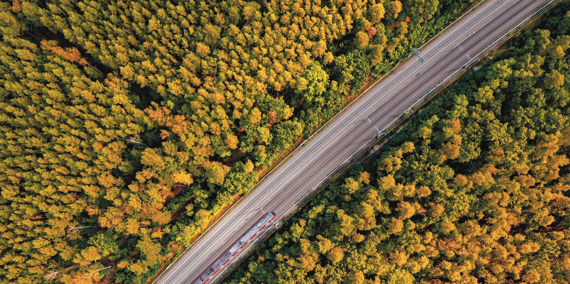Railway through summer forest, aerial view.