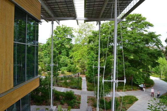 Creating a business case for regenerative design - Ramboll