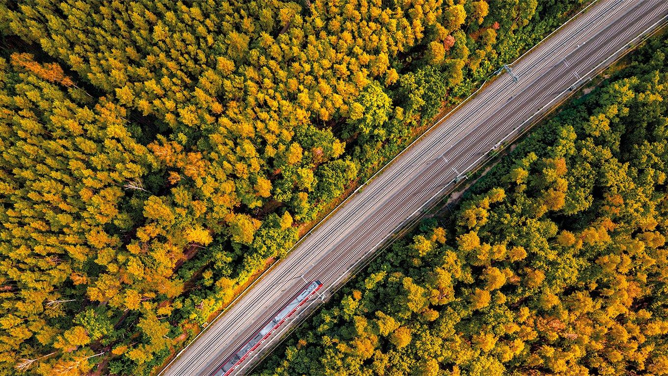 Railway through summer forest, aerial view.