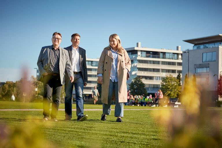 Ramboll yrityksenä - Ramboll
