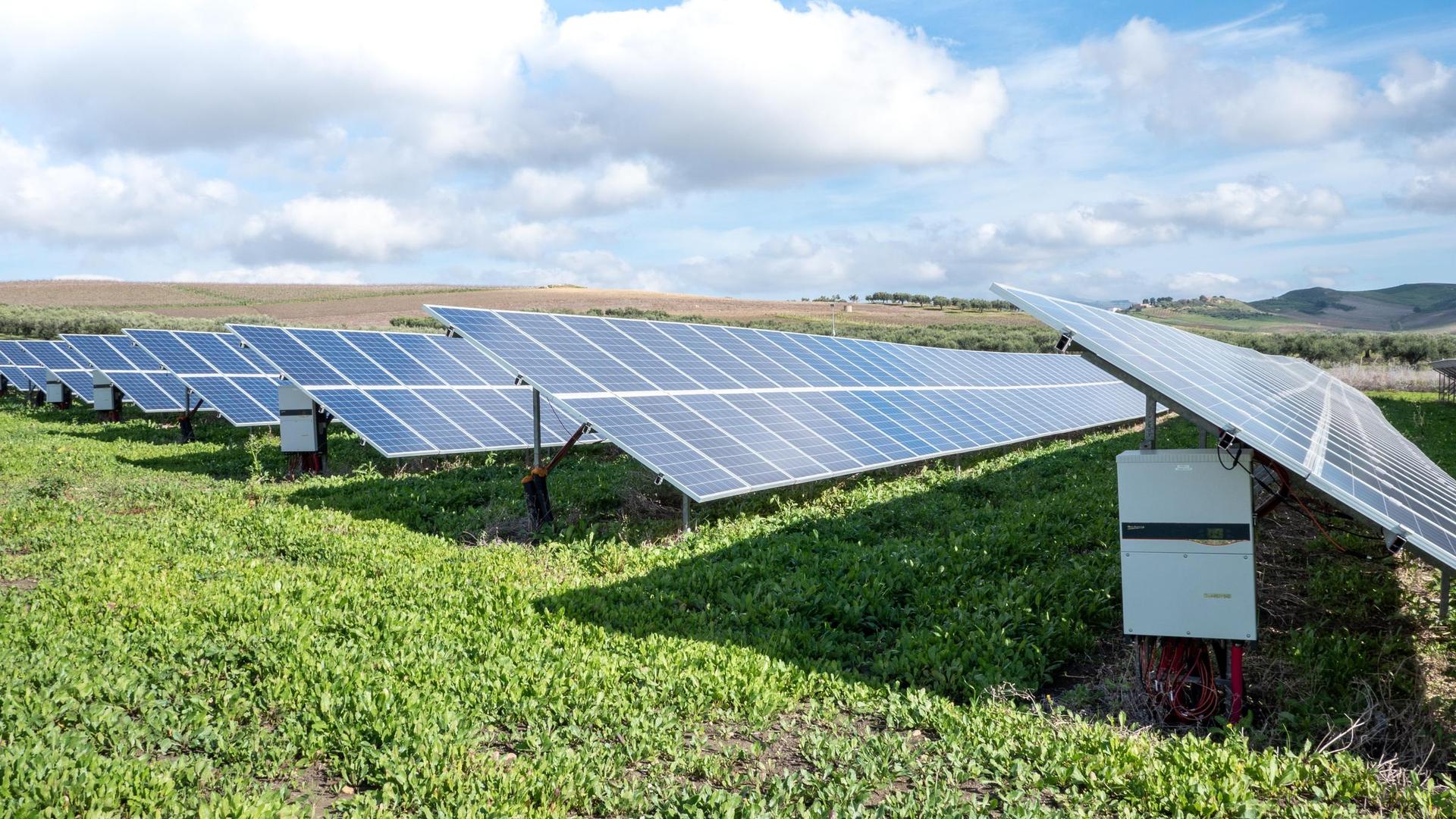 Blue solar panels on green grass field under white clouds and blue sky