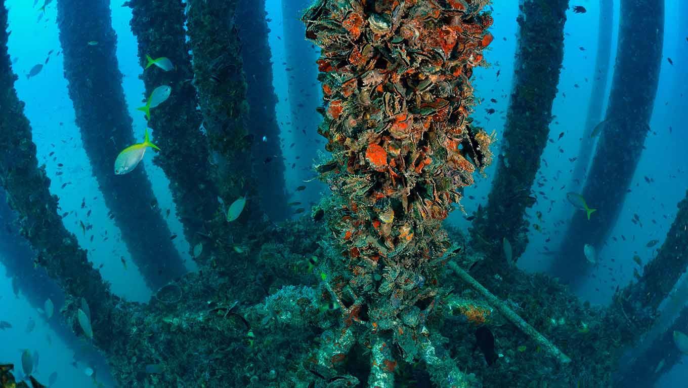 Picture of a construction under water.