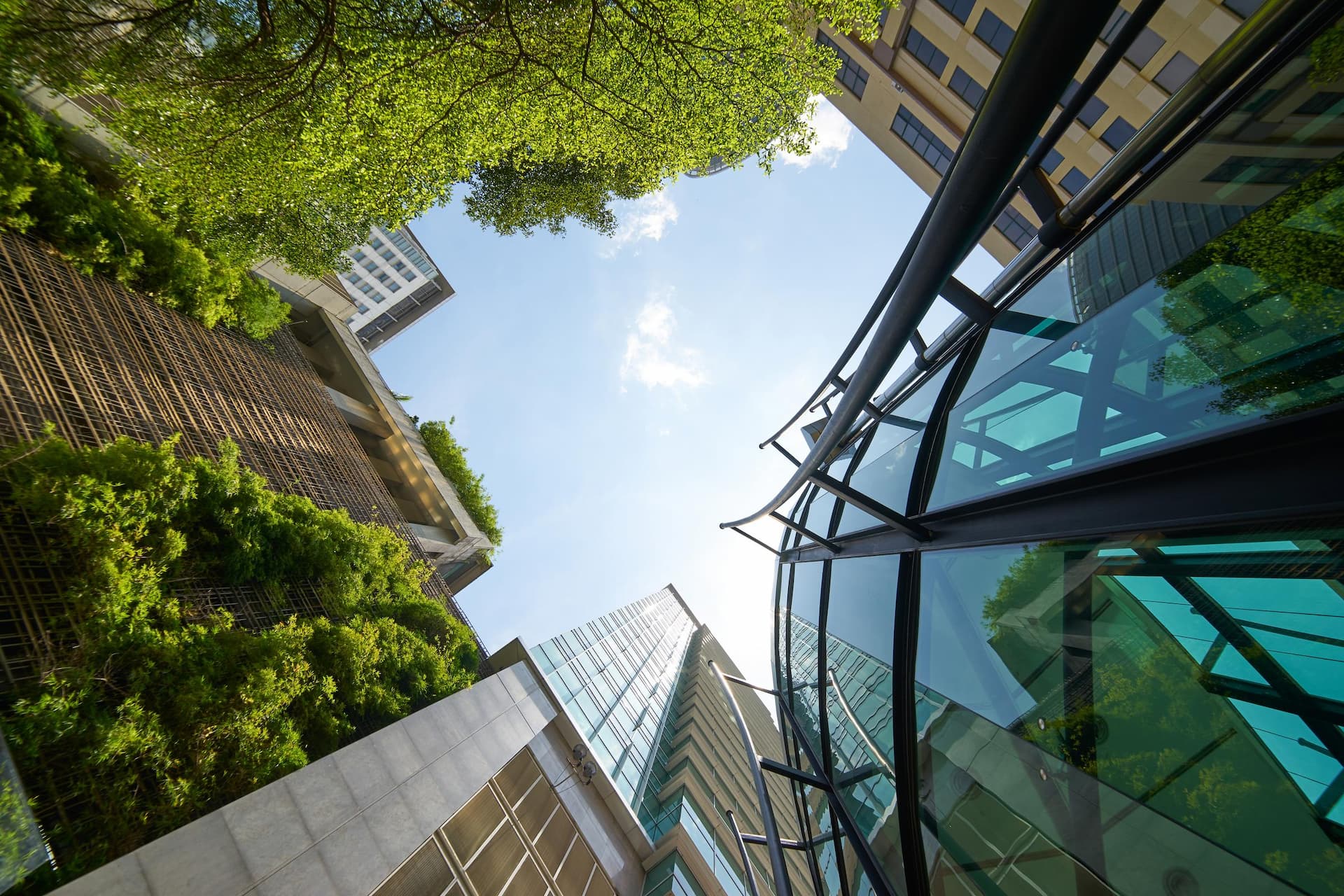 Low angle shot of modern glass buildings and green with clear sky background.; Shutterstock ID 613341923; purchase_order: Martin Christiansen