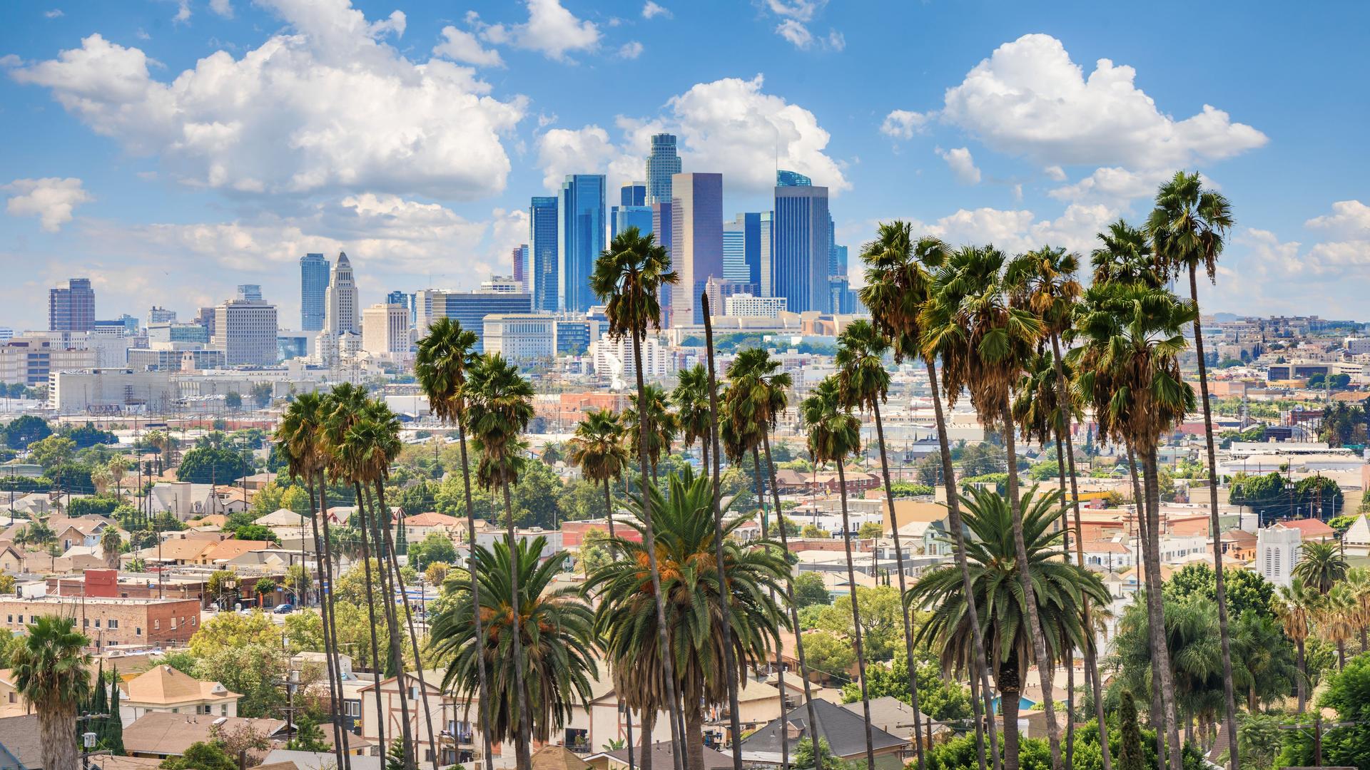 Beautiful cloudy day of Los Angeles downtown skyline and palm trees in foreground